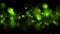 Vibrant green glowing bokeh lights video animation