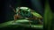 Vibrant Green Leafhopper On Dewy Blade Of Grass In Photorealistic Macro Style