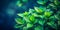 vibrant green leaves on dark gloomy background Creative AI