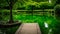 Vibrant Green Oasis Tranquil Duck Pond Scene