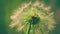 vibrant green stem dandelion shown swaying wind