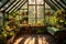 A vibrant greenhouse filled with an abundance of potted plants creating a lush and thriving botanical oasis, greenhouse with