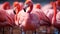 A vibrant group of flamingos standing in the Caribbean water generated by AI