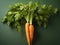 Vibrant Harmony: Carrots with Lively Orange and Green on a Dark Background. Generative AI