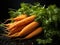 Vibrant Harmony: Carrots with Lively Orange and Green on a Dark Background. Generative AI