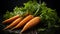 Vibrant Harmony: Carrots with Lively Orange and Green on a Dark Background. Generative AI