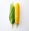 Vibrant Harvest: A Stunning Display of Yellow and Green Corn on a White Background