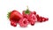 A vibrant heap of red berries raspberry, strawberry, and redcurrant. Fresh, juicy, and realistic fruit illustration for food juice