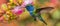 Vibrant Hummingbird in Flight - Costa Rica\\\'s Natural Beauty. Concept Costa Rica Wildlife,