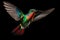 A vibrant hummingbird gracefully soars through the air, showcasing its stunning colors, The shiny colored, fiery throated