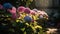 Vibrant hydrangea blossom in formal garden landscape generated by AI