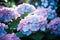 Vibrant Hydrangea bush summer. Generate Ai