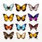 Vibrant Hyper-realistic Butterflies: A Stunning 3d Collection