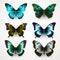 Vibrant Hyper-realistic Butterfly Wings Illustrations In Various Colors