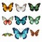 Vibrant Hyperrealistic Butterfly Illustration On Transparent Background