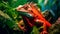 Vibrant Iguana: Realistic Animal Portrait