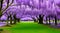 Vibrant illustration of flowering wisteria forest