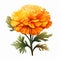 Vibrant Illustration Of Orange Carnation Flowers With Chinese Iconography