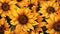 A vibrant illustration showcasing a charming background of sunflowers. Generative AI.