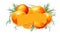 Vibrant image featuring group of oranges with leaves and banner. Perfect for adding pop of color to