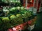 Vibrant image of a grocery store showcasing an abundance of fresh vegetables