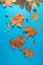 Vibrant image of scattered autumn leaves and acorns on a blue background