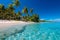 Vibrant image of a tropical island with lush palm trees, white sandy beaches, and clear blue skies, representing paradise and