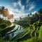 Vibrant and Immersive Image of Bali's Tropical Paradise