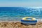 Vibrant inflatable float resting on sandy ocean shore under blue sky