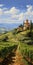 Vibrant Italian Renaissance Revival Vineyard Field Painting