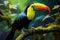 Vibrant Keel billed Toucan amidst Panamas rich vegetation a captivating wildlife scene