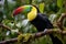 Vibrant Keel billed Toucan amidst Panamas rich vegetation a captivating wildlife scene