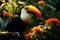 Vibrant Keel billed Toucan amidst Panamas rich vegetation a captivating wildlife scene