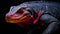 Vibrant Komodo Dragon In High Dynamic Range Photography