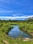 A Vibrant Lake Surrounded By Trees