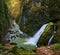 Vibrant landscape of a waterfall in a gorge