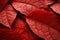 A vibrant leaf close up channels the vivacity of stage backdrops