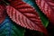 A vibrant leaf close up channels the vivacity of stage backdrops