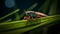 Vibrant Macro Photography Of Green Leafhopper On Dewy Blade Of Grass