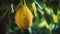 Vibrant Macro Shot Of Jackfruit On Tree With Textured Gradient