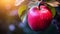 Vibrant Macro Shot Of A Red Apple On A Tree