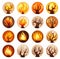 Vibrant Mageweave: Fire and Wood Icons on Spiritual Landscape AI Generated