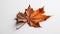 Vibrant maple leaf, gold and orange colors generative AI