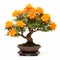 Vibrant Marigold Bonsai: Tenwave Style With Tropical Symbolism