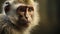 Vibrant Monkey Portrait: Stunning Vray Tracing In 32k Uhd