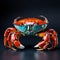 Vibrant Orange And Blue Crab: Studio Shot On Isolated Background