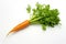 a vibrant orange carrot with fresh green tops on white