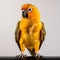 Vibrant Orange Parrot: Object Portraiture Style With Explosive Pigmentation