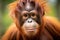 Vibrant Orangutan portrait. Generate Ai