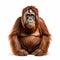 Vibrant Orangutan Portrait In High Definition